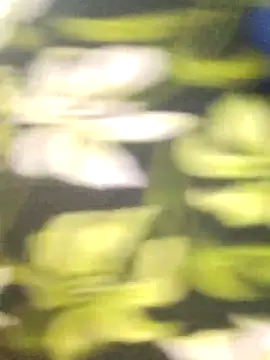 lathikaqueentamil's cam snapshot