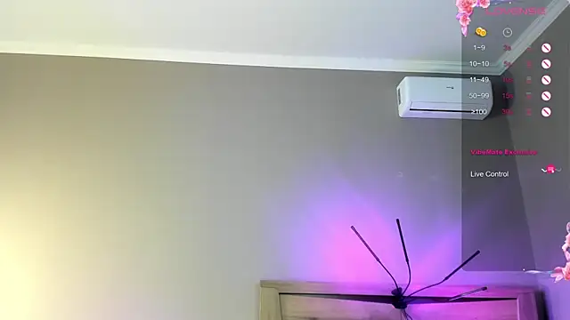 AriKnightley's cam snapshot