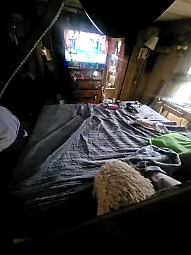 j_hollywood91 live sex cam