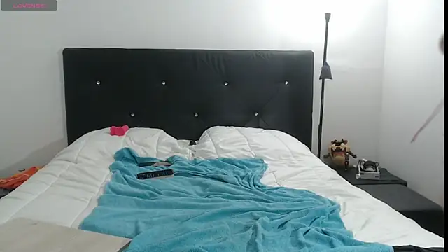 cochonne95D's web cam