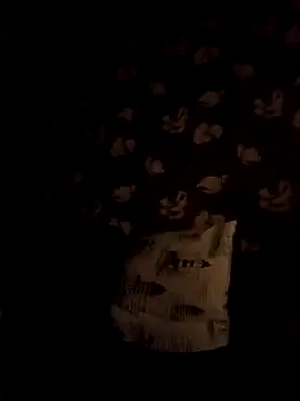 MelisaSwan611's cam snapshot