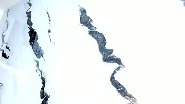 mia_alvares's cam snapshot