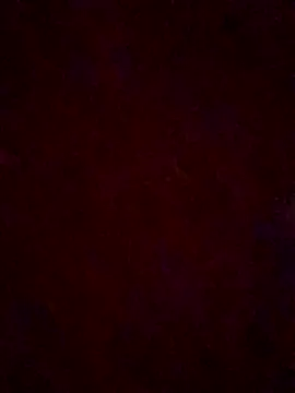 BunnyPleasures's cam snapshot