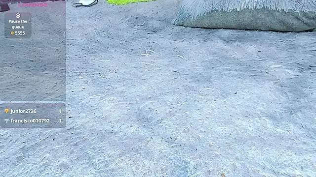 Dantzel_'s cam snapshot