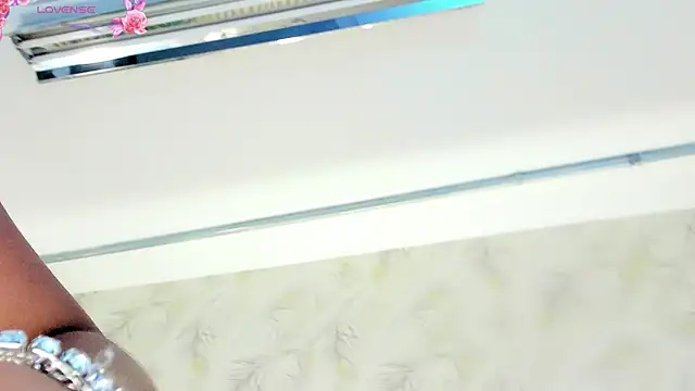 Liss-Reyes's cam snapshot