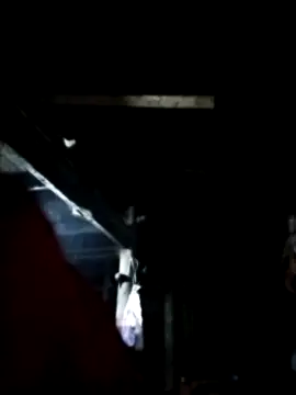 venu00's cam snapshot