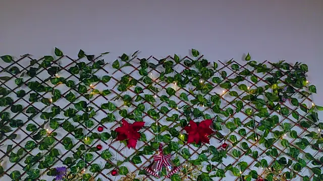 alice_rous21's cam snapshot