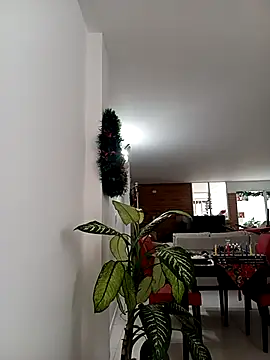 bri_ali's cam snapshot