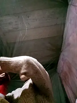 Minnakutew20's cam snapshot