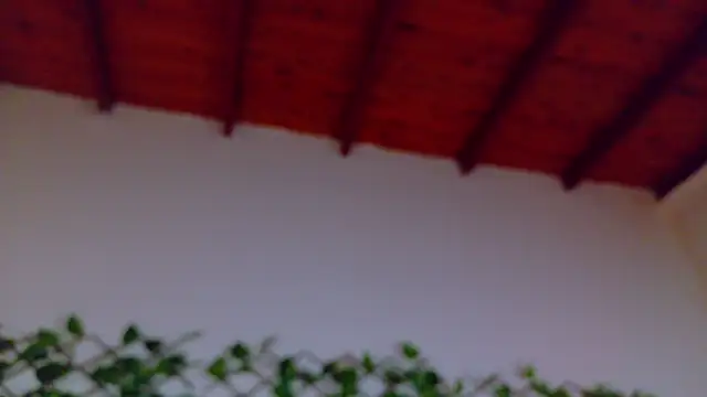 alice_rous21 live sex cam