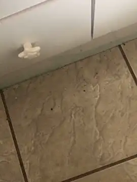 jonathaslemes18 live sex cam