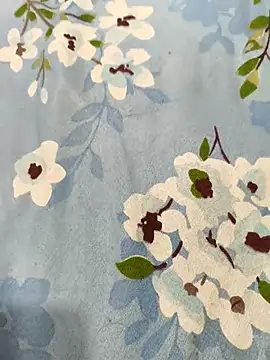 paro22_sex's cam snapshot