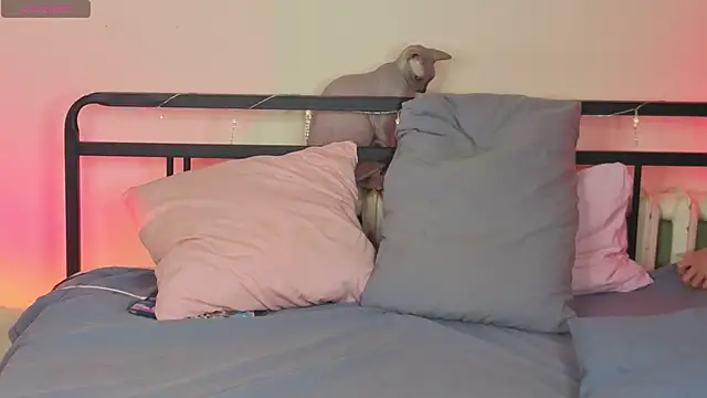 sinthiaroze's cam snapshot