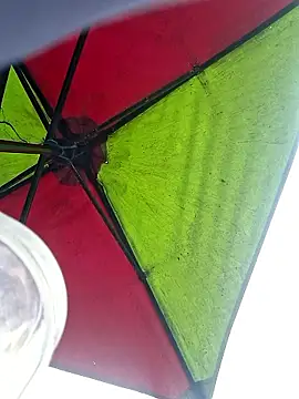 Niidia's cam snapshot