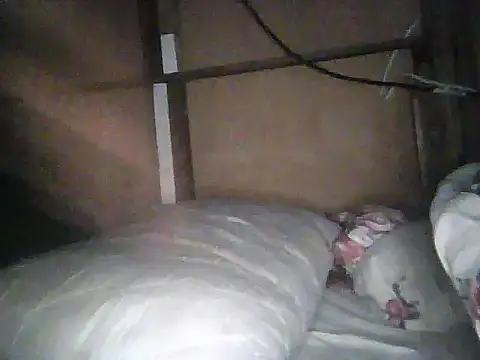 Camodick live sex cam