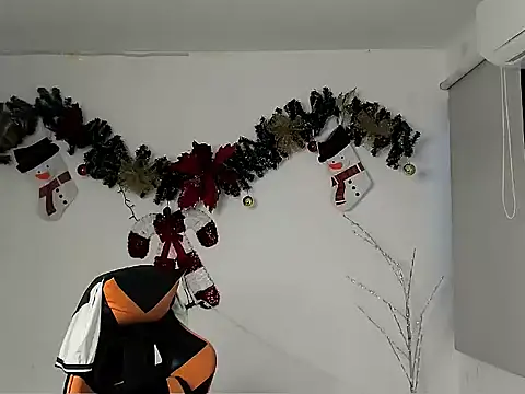 jeanfran_ferrer's cam snapshot