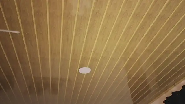 Renaxi_Smith's cam snapshot