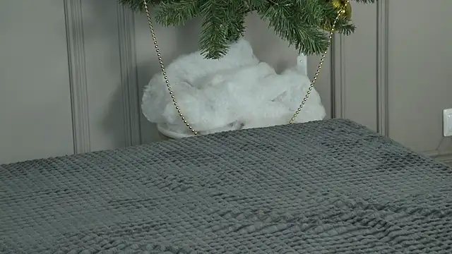 LilithAmory's cam snapshot