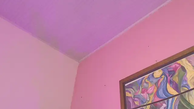 Pammela_Smith's cam snapshot