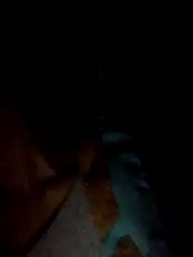 bela-hayes's cam snapshot