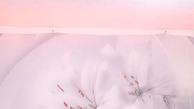 sofiasteven's cam snapshot