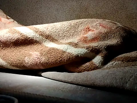 seductivescamp's cam snapshot