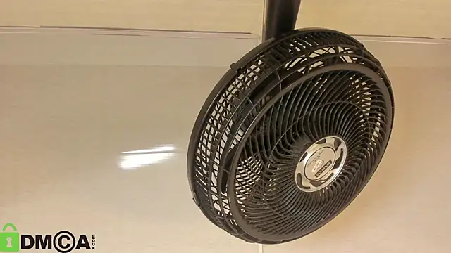 sarita_castillo's cam snapshot