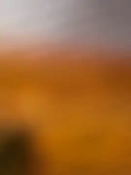 mrwright878787's cam snapshot