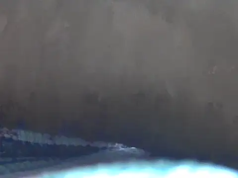 indiboy009's cam snapshot