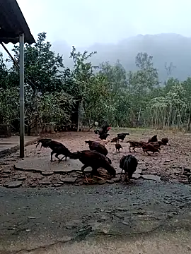 SexyQueen99's cam snapshot