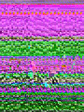 Aisha_Malek's cam snapshot