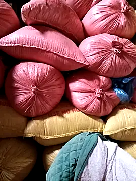 Minnakutew20's cam snapshot