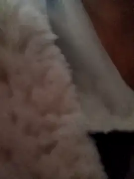 bree-zz's cam snapshot