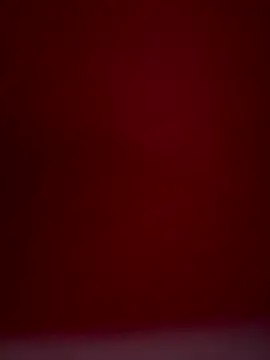 Borokalasona's cam snapshot