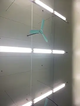 Chew_candy's cam snapshot