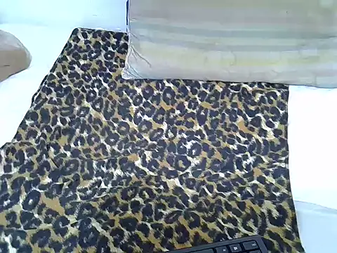 drowllie's cam snapshot