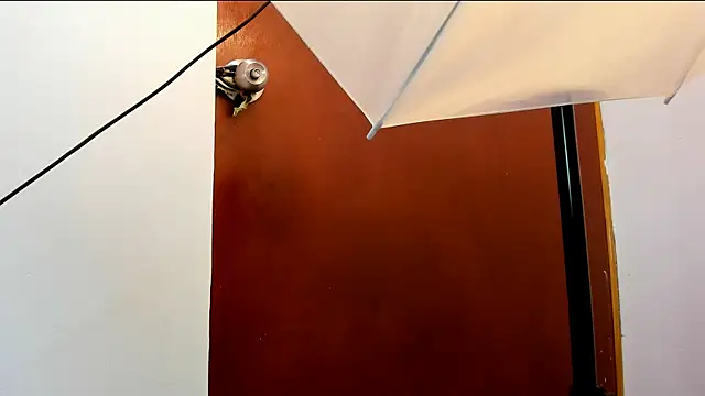 roan_birkin's cam snapshot