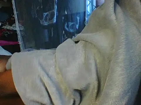 FatAss_baby's cam snapshot