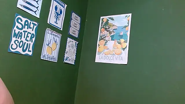 Roxiehood's cam snapshot