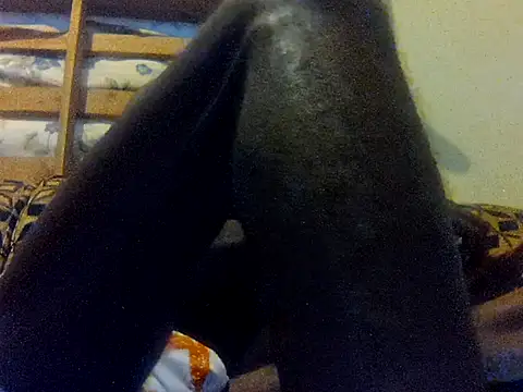 LookingLover34 live sex cam