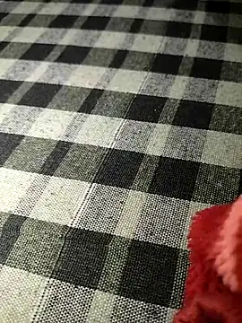 sexy__girls98 live sex cam