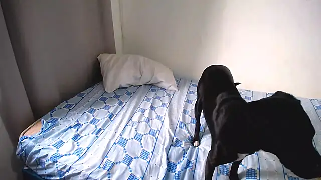 Hanny_9's cam snapshot