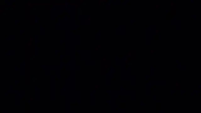 elogordo_ live sex cam