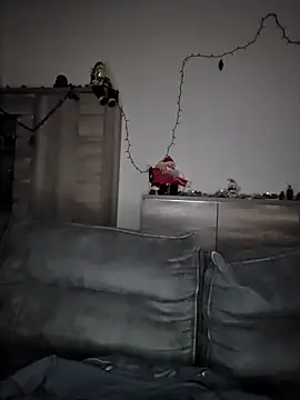 cristalines's cam snapshot