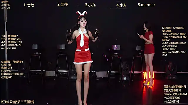 SK010's cam snapshot