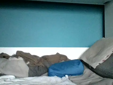 SEBIX-35's cam snapshot