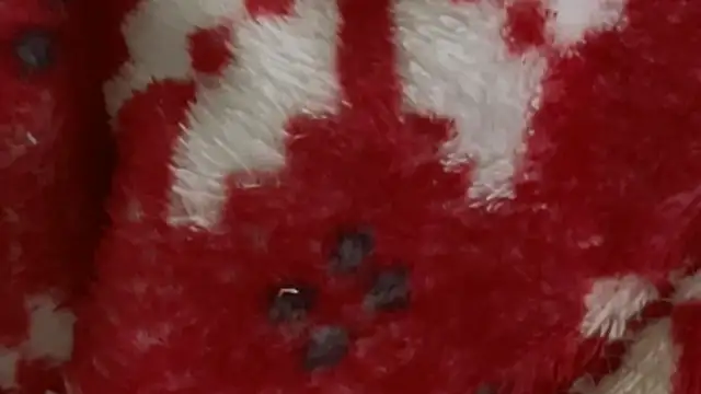 Neu555's cam snapshot