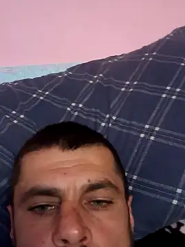 Pintiliescu's cam snapshot