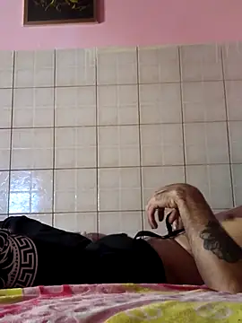 Pintiliescu's cam snapshot