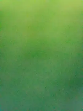 Esenia505's cam snapshot